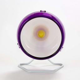 Kaytee Spinner, mini kółko do ćwiczeń, 10 cm,