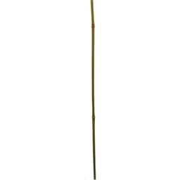 PROGARDEN Podpora do roślin 323116 60 cm (10