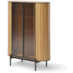 Witryna ROTTO RT-10 2W Dąb vincenza