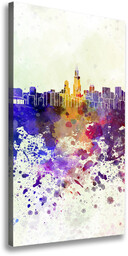 Foto obraz na płótnie pionowy Kolorowe Chicago
