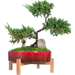 ARTKETTY Doniczki do wewnątrz, 29 cm, ceramiczna doniczka