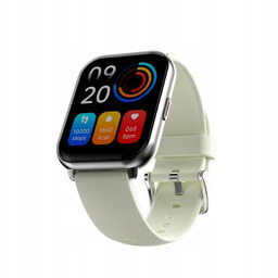 HiFuture smartwatch Zone 2szary/grey (HSFZ2SL)