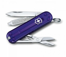 Victorinox Scyzoryk Classic Sd 0.6223.t29g