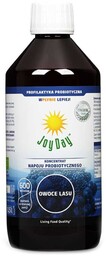 Eko Koncentrat Napoju Probiotycznego Owoce Lasu, 500 ml