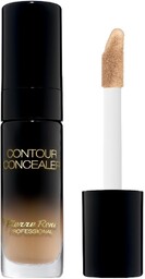 PIERRE RENE Contour Concealer kryjący korektor w płynie