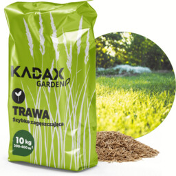Trawa uniwersalna Riset szybko zagęszczająca 10 kg 400