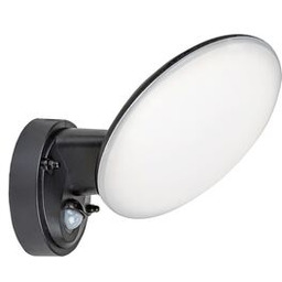 Kinkiet Varna z czujnikiem LED 12 W 4000K