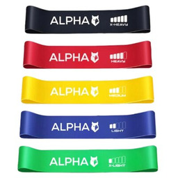 ALPHA Zestaw gum do ćwiczeń Mini Band PB-03
