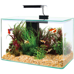 Zestaw akwarystyczny AQUA CLEAR 400 x 200 x
