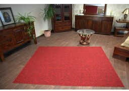 Dywan SUPERSTAR 316 czerwony 70x300 cm
