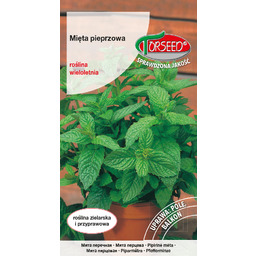 Mięta Mentha piperita 0,1g