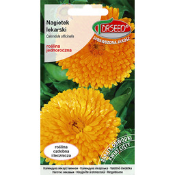 Nagietek lekarski Calendula officinalis 3g