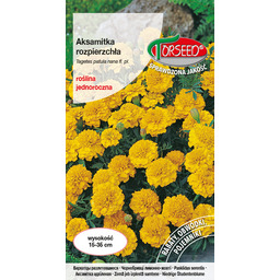 Aksamitka rozpierzchła (niska) - Tagetes patula nana fl.pl.