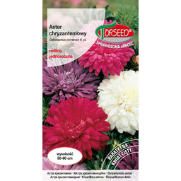 Aster wysoki chryzantemowy - Callistephus chiń. fl.pl. mieszanka