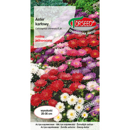 Aster chiński karłowy - Callistephus chin. fl.pl. mieszanka