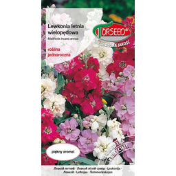 Lewkonia letnia - Matthiola incana annua Varsovia mix