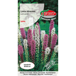 Liatra kłosowa - Liatris spicata mieszanka 0,2g