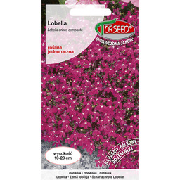 Lobelia (Stroiczka) - Lobelia er. Comp odcienie czerwieni