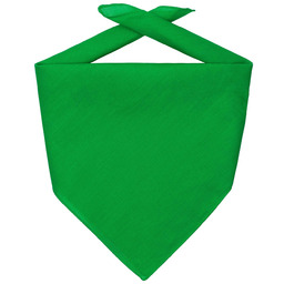Bandana Goal, zielony