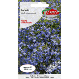 Lobelia (Stroiczka) - Lobelia er. Comp jasnoniebieska 0,2g