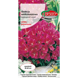 Godecja wielkokwiatowa - Godetia grandiflora odcienie czerwieni karminowoszkarłatna