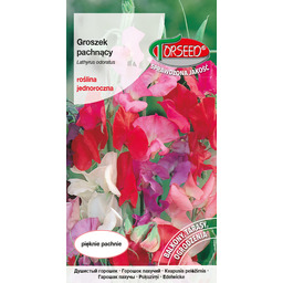 Groszek pachnący - Lathyrus odoratus mieszanka 4g