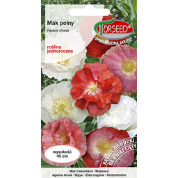 Mak polny - Papaver rhoeas mieszanka 1g