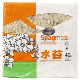 Spagmoss Sphagnum Besgrow Classic mech torfowy 500g