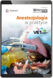 Anestezjologia w praktyce (e-book) [pdf]