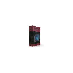 Thinstuff XP/VS Terminal Server Lite 1 connection for