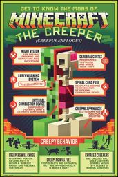 Minecraft Creepy Behaviour - plakat