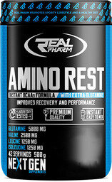 Real Pharm Amino Rest 500g