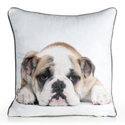 Eurofirany Poszewka dekoracyjna 45x45 Animal 81 biała beżowa