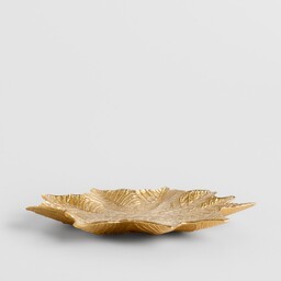 Patera Poinseto