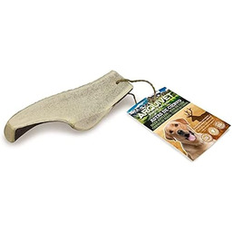 ARQUIVET Półporoża jelenia dla psów - 100% naturalny