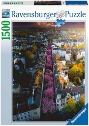 Puzzle 2D 1500 elementów: Bonn. Niemcy