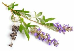 EQUIHERBS Niepokalanek pospolity 1 kg