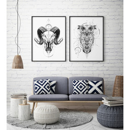 Pakamera Czacha z Sową - zestaw dwóch plakatów