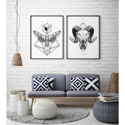 Pakamera Zestaw skandi: czaszka i ćma - plakaty