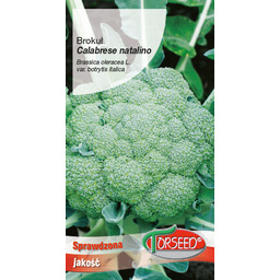 Brokuł włoski Calabrese natalino 2g
