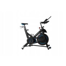 Rower Spiningowy Horizon 7.0 IC