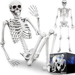 mikamax Szkielet o naturalnej wielkości 1,70 m realistyczny