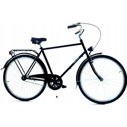 Rower Męski Miejski 28 Dallas 21 cali Holenderka