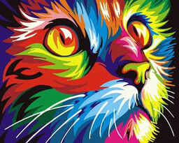 Malowanie po numerach - Tęczowy kotek 40x50cm -