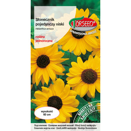 Słonecznik kwiatowy - Helianthus annuus pojedynczy niski żółty