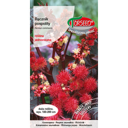 Rącznik - Ricinus communis czerwonolistny 6g