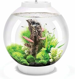 OASE 72007 biOrb Classic 30 LED, biały