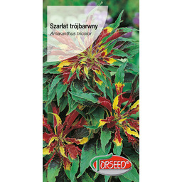 Szarłat trójbarwny - Amaranthus tricolor żółto-czerwony 0,5g