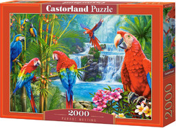 Puzzle Parrot Meeting, 2000 el.