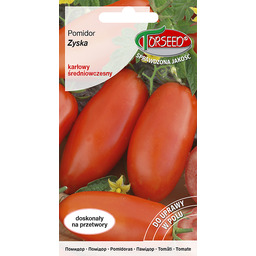 Pomidor gruntowy (karłowy wiotkołodygowy) Zyska 0,2g